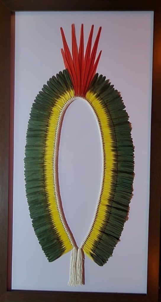 Coleção Ararajuba