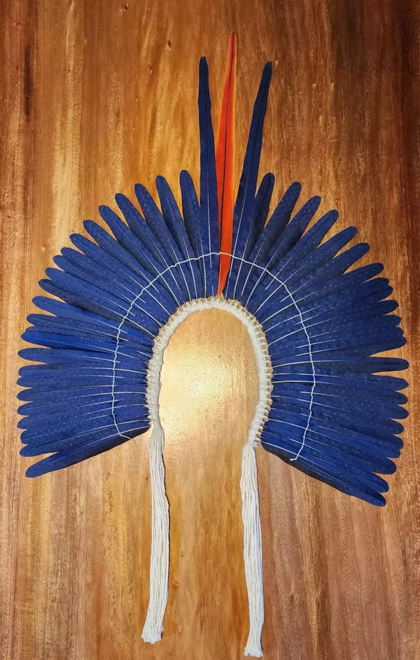 Cocar Guerreiro Arara-azul