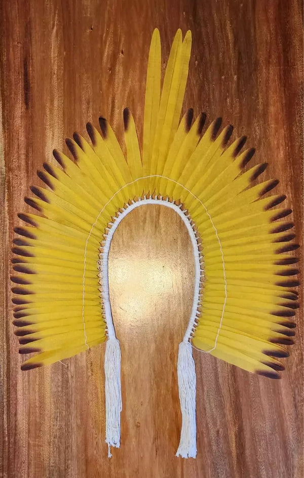 Cocar Guerreiro Arara Canindé