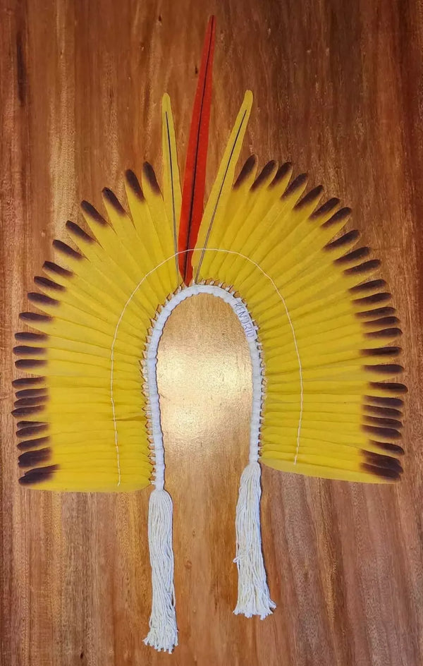 Cocar Guerreiro Arara Canindé