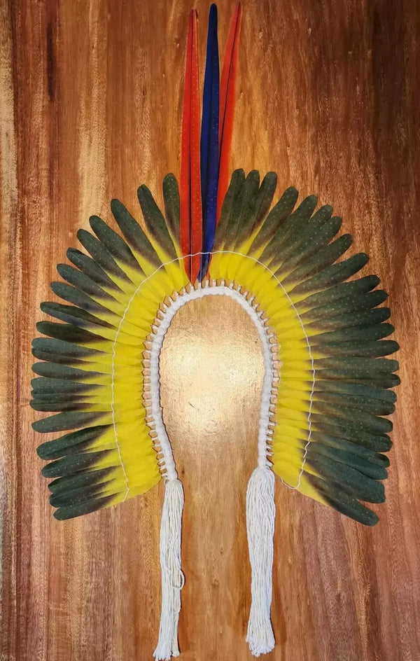 Cocar Guerreiro Ararajuba