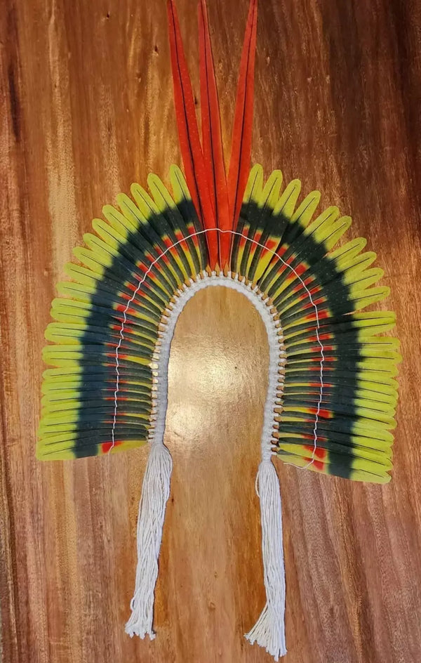 Cocar Guerreiro Papagaio