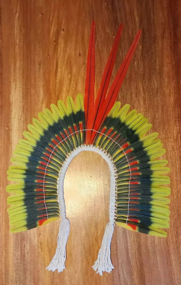 Cocar Guerreiro Papagaio