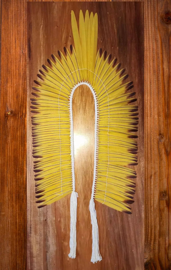 Cocar Cacique Arara Canindé